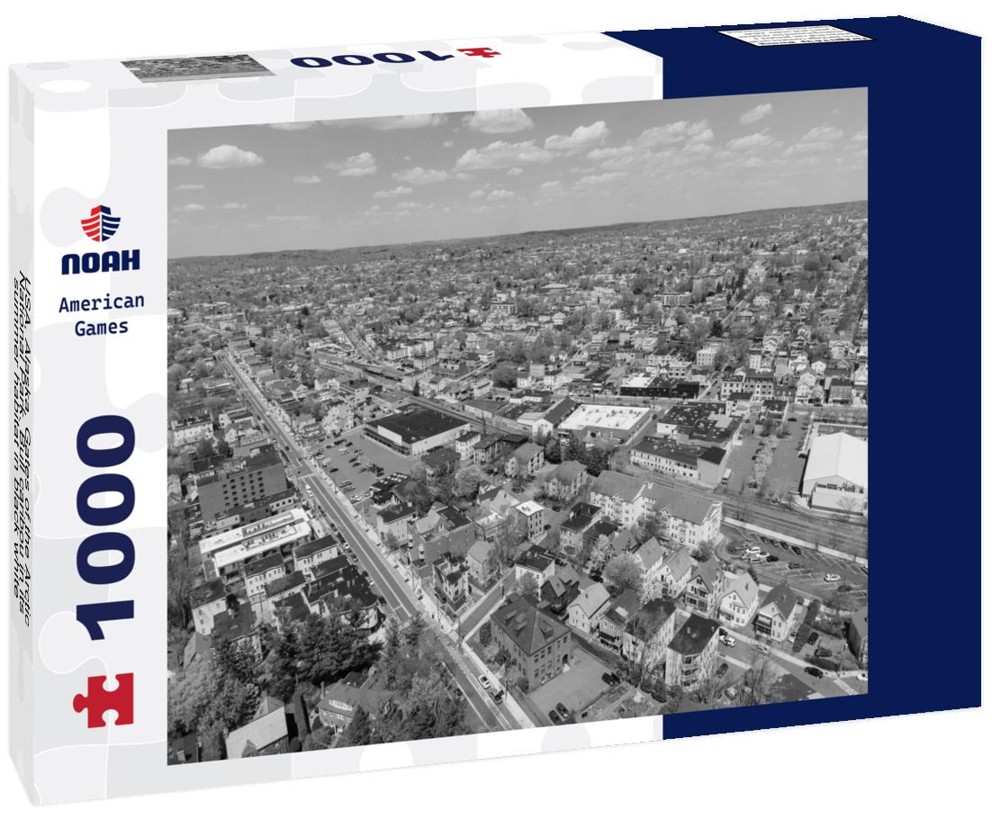 Noah Jigsaw Puzzle USA, Alaska, Gates of the Arctic National Park. Bull caribou in its summer habitat in black white 1000 pieces