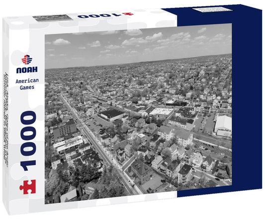 Noah Jigsaw Puzzle USA, Alaska, Gates of the Arctic National Park. Bull caribou in its summer habitat in black white 1000 pieces