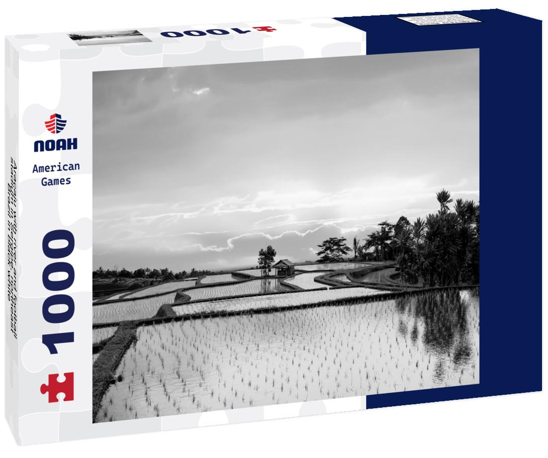 Noah Jigsaw Puzzle Aracaju with river and football stadium in Sergipe, northeast Brazil in black white 1000 pieces