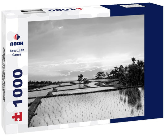 Noah Jigsaw Puzzle Aracaju with river and football stadium in Sergipe, northeast Brazil in black white 1000 pieces