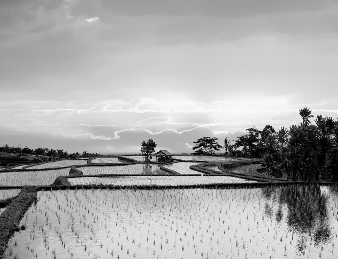 Noah Jigsaw Puzzle Aracaju with river and football stadium in Sergipe, northeast Brazil in black white 1000 pieces