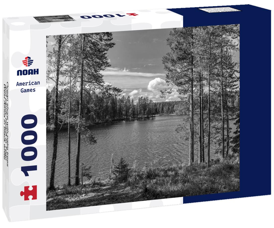 Noah Jigsaw Puzzle Ocean shore with palm trees and sandy beach in Togo, West Africa in black white 1000 pieces