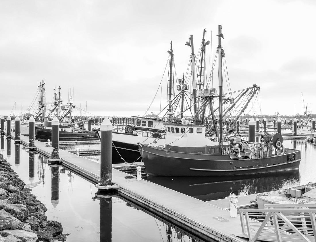 Noah Jigsaw Puzzle View of the center of Walbrzych, town hall, Poland in black white 1000 pieces