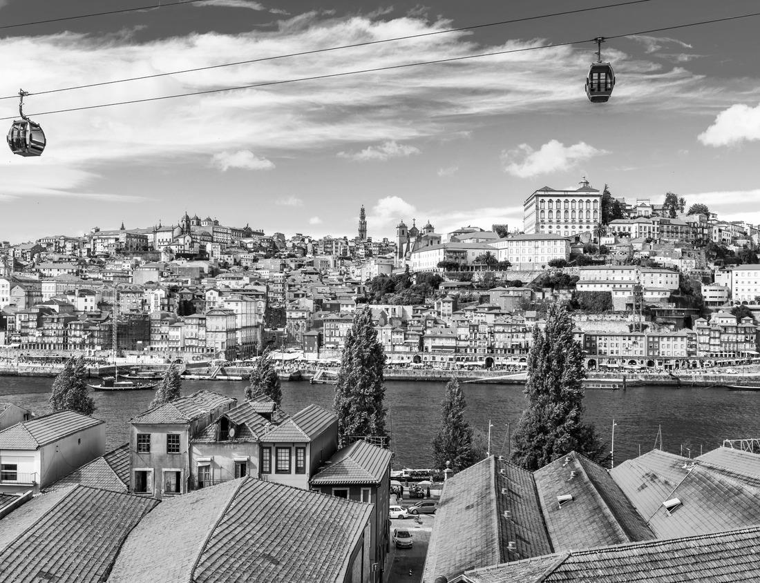 Noah Jigsaw Puzzle Neuruppin lake promenade, Germany in black white 1000 pieces