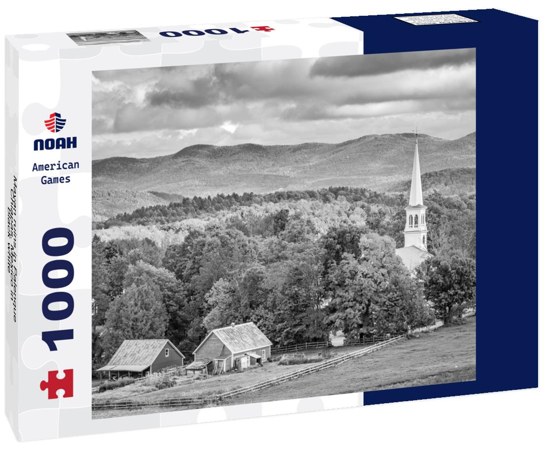 Noah Jigsaw Puzzle Mayan ruins in Palenque, Chiapas, Mexico in black white 1000 pieces