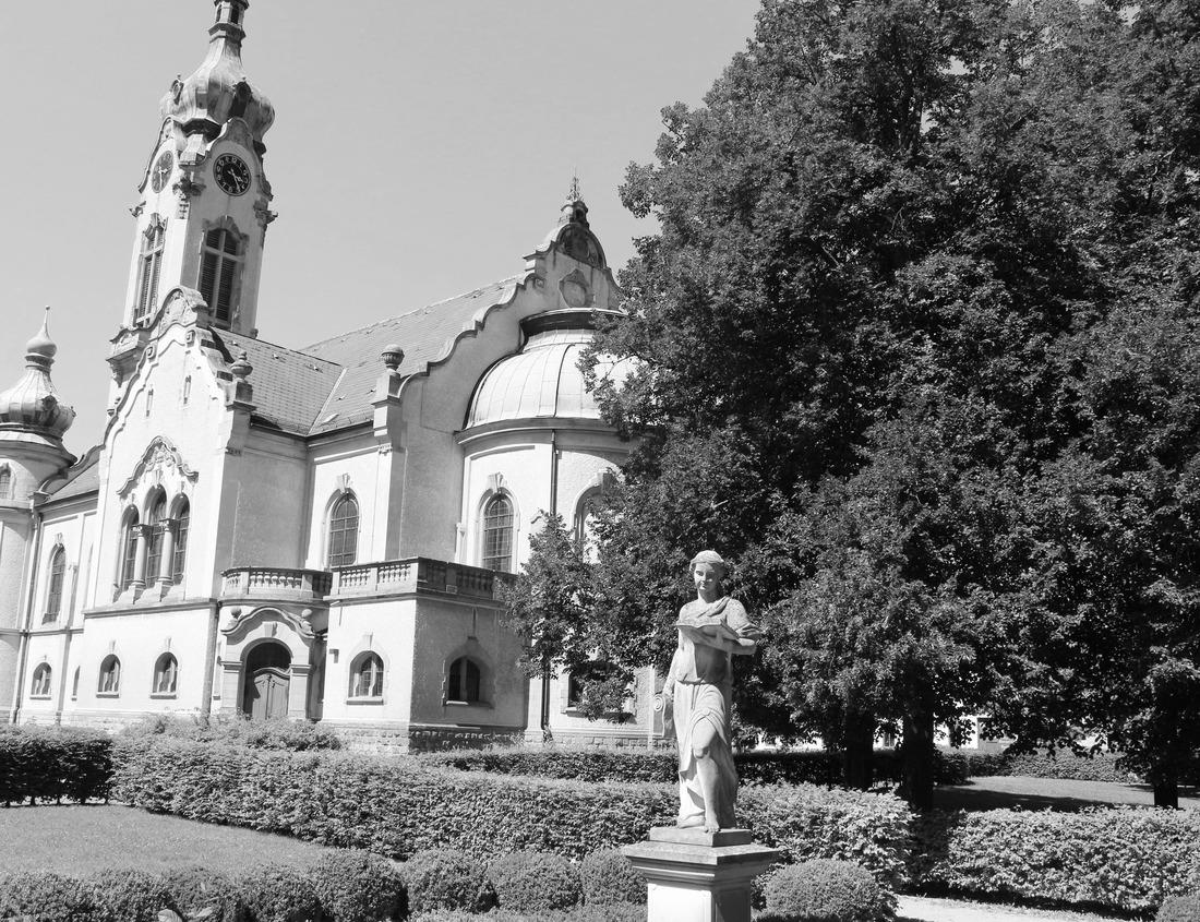 Noah Jigsaw Puzzle Giant Sequoias | Kings Canyon National Park, California, USA in black white 1000 pieces