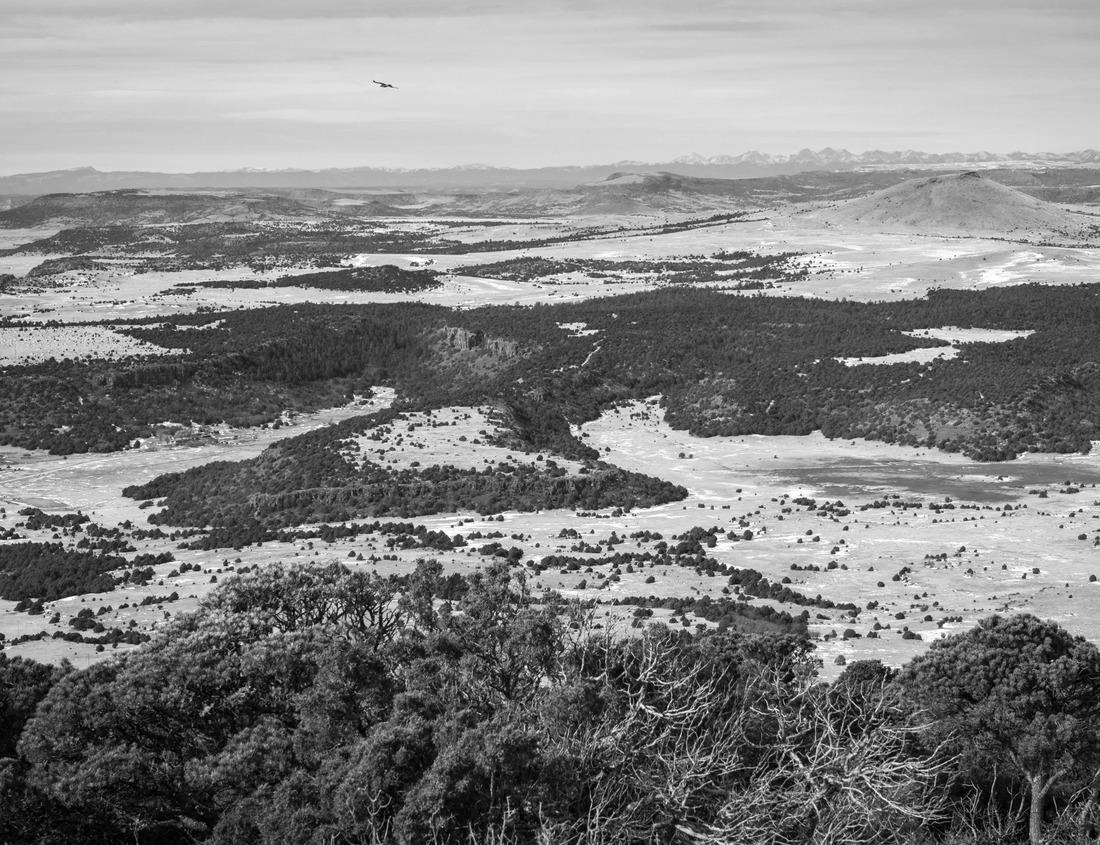 Noah Jigsaw Puzzle Castle garden Nuremberg with half-timbered houses and tower in Nuremberg. Historic Old Town in black white 1000 pieces