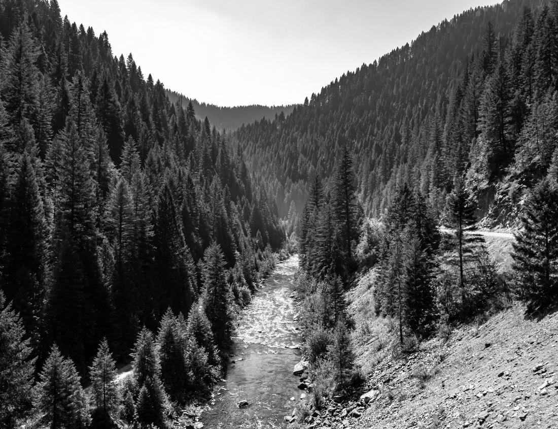 Noah Jigsaw Puzzle Barangaroo modern urban towers on Sydney city harbour waterfront in aerial cityscape of Australia in black white 1000 pieces