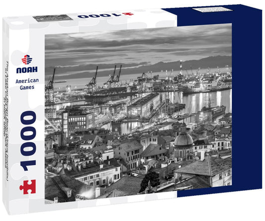 Noah Jigsaw Puzzle The Alaskan Brown Bear (Ursus horribilis) in Lake Clark National Park Alaska in black white 1000 pieces