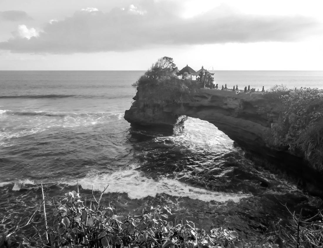 Noah Jigsaw Puzzle Endangered Cheetah family in Kruger National Park South Africa directly after a meal in black white 1000 pieces