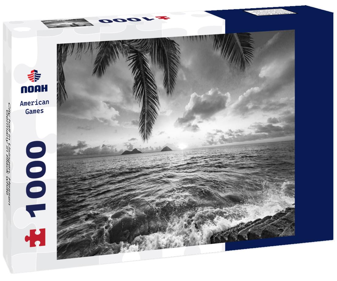 Noah Jigsaw Puzzle City hall in Usingen, Hessen, Germany in black white 1000 pieces