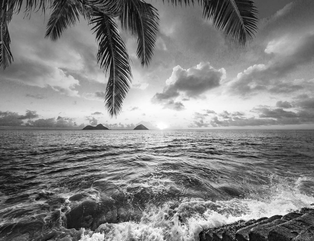 Noah Jigsaw Puzzle City hall in Usingen, Hessen, Germany in black white 1000 pieces