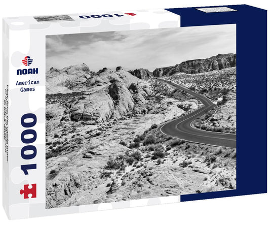 Noah Jigsaw Puzzle View from the castle tower of the city of Brodnica in black white 1000 pieces