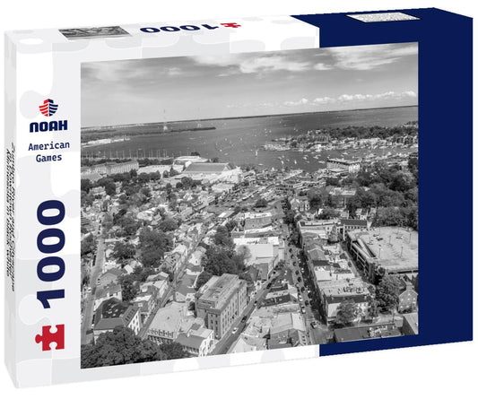 Noah Jigsaw Puzzle Zumbro River and Cityscape in Downtown Rochester, Minnesota in black white 1000 pieces