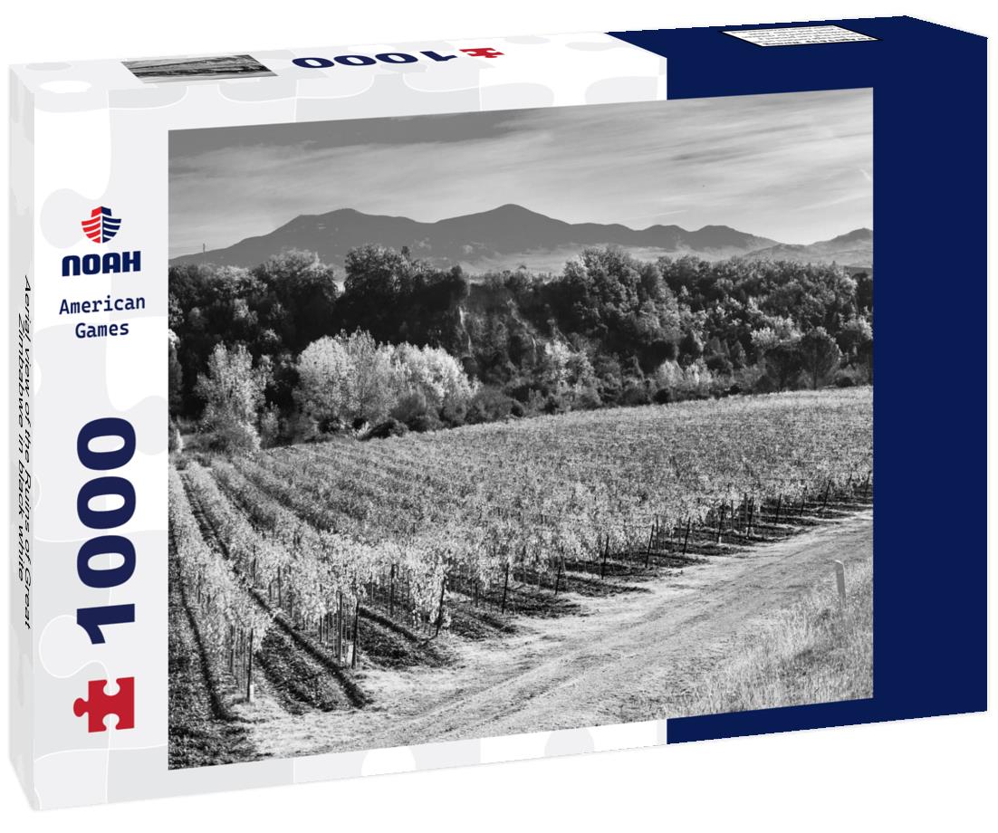 Noah Jigsaw Puzzle Aerial view of the Ruins of Great Zimbabwe in black white 1000 pieces