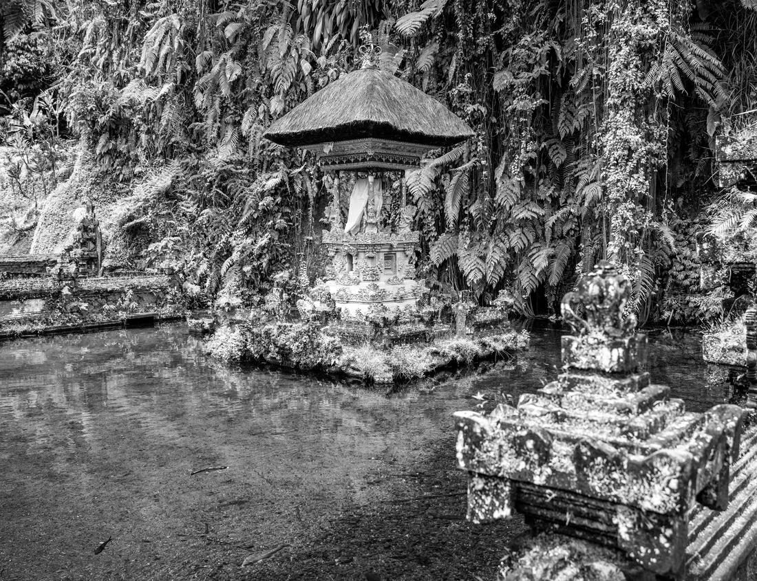 Noah Jigsaw Puzzle W. S. Graham Memorial Presbyterian Church on Dillard Avenue in Forrest City, Arkansas in black white 1000 pieces