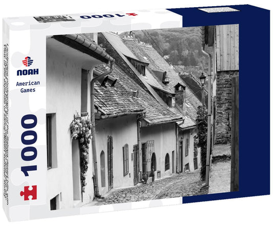 Noah Jigsaw Puzzle Landscape photography of the Sahara desert hills with sand dunes and palm trees, vegetation and blue sky. View of the expanse of sandy desert summer sunny day, Sahara, Tozeur, Tunisia in black white 1000 pieces