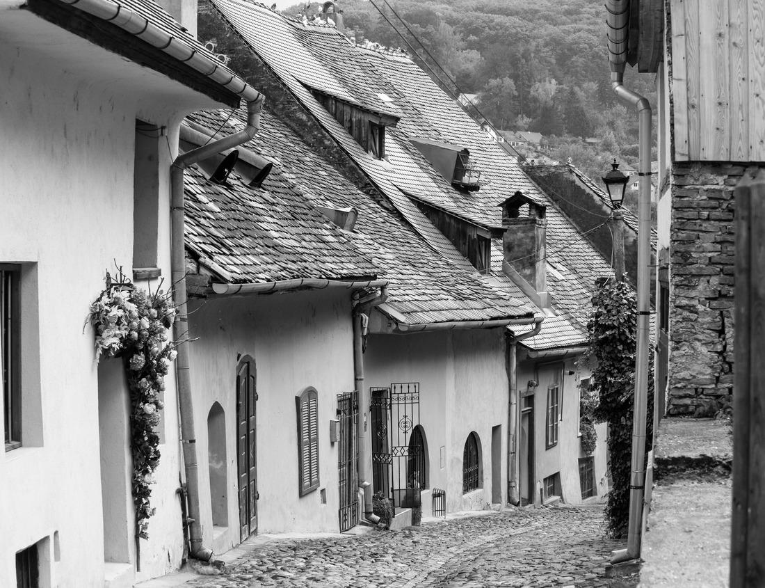 Noah Jigsaw Puzzle Landscape photography of the Sahara desert hills with sand dunes and palm trees, vegetation and blue sky. View of the expanse of sandy desert summer sunny day, Sahara, Tozeur, Tunisia in black white 1000 pieces