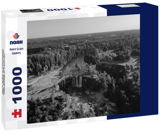 Noah Jigsaw Puzzle Old town of Rapperswil-Jona on Lake Zurich, Alps, Switzerland in black white 1000 pieces