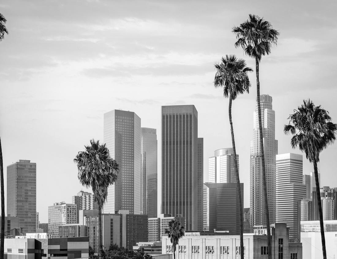 Noah Jigsaw Puzzle A golden view of Lake Montespluga and the surrounding mountains in Italy, Lombardy in black white 1000 pieces