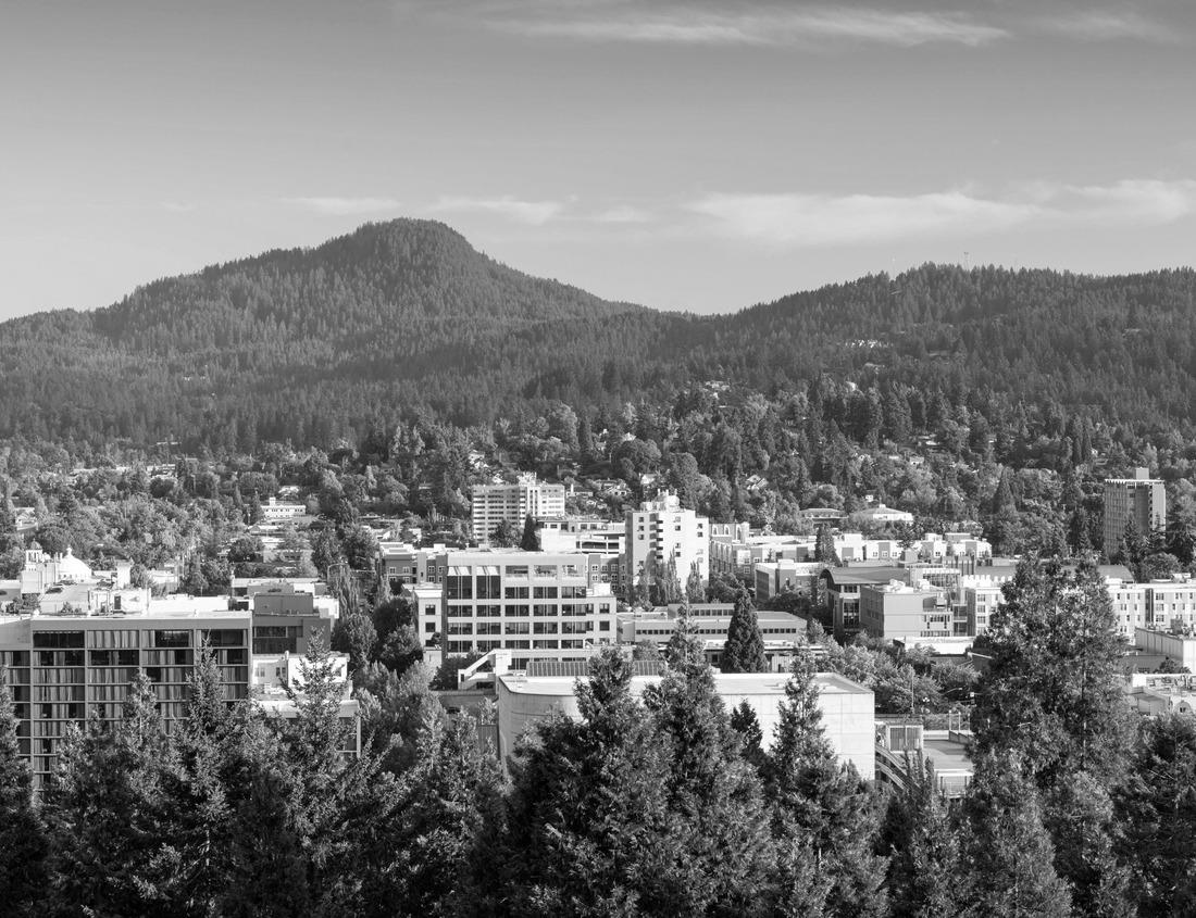 The Newnan, Georgia Clock Tower - Courthouse behind trees with blue sky 1000pc PuzzleBlack and White