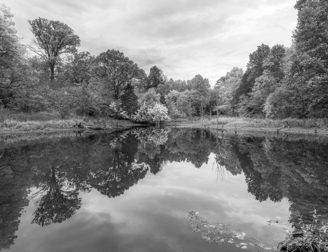 Noah Jigsaw Puzzle Pinnacles National Park located in the Salinas Valley in Central California, USA in black white 1000 pieces