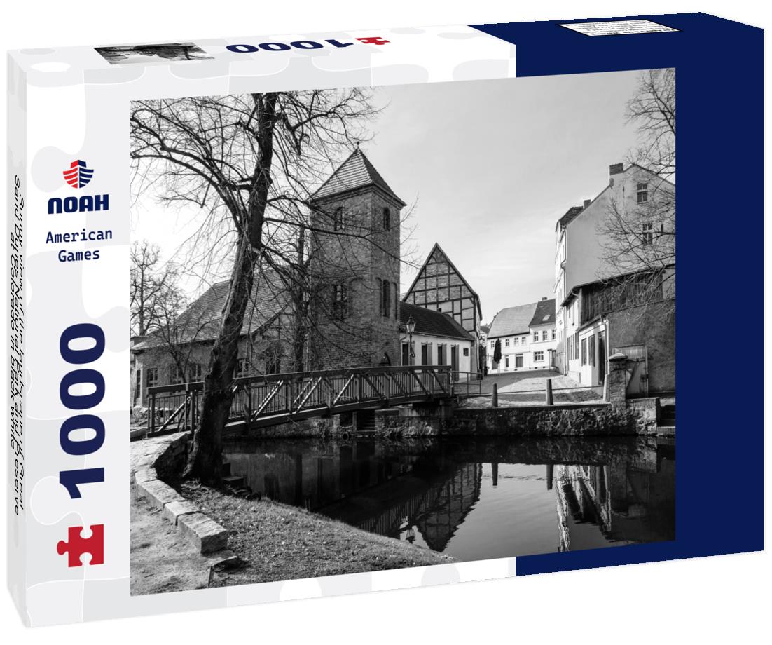 Noah Jigsaw Puzzle Sunny view of the landscape of Great Sand Dunes National Park and Preserve at Colorado in black white 1000 pieces