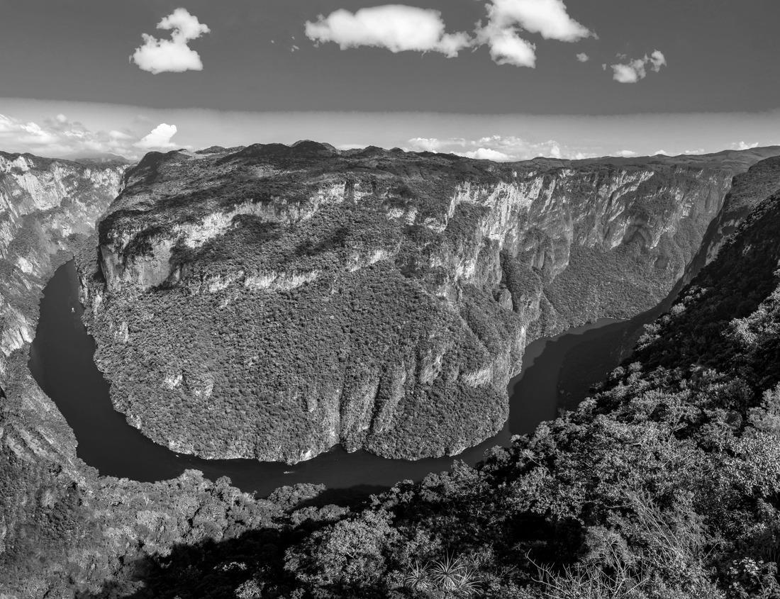 Noah Jigsaw Puzzle Downtown Sacramento and tower Bridge in black white 1000 pieces