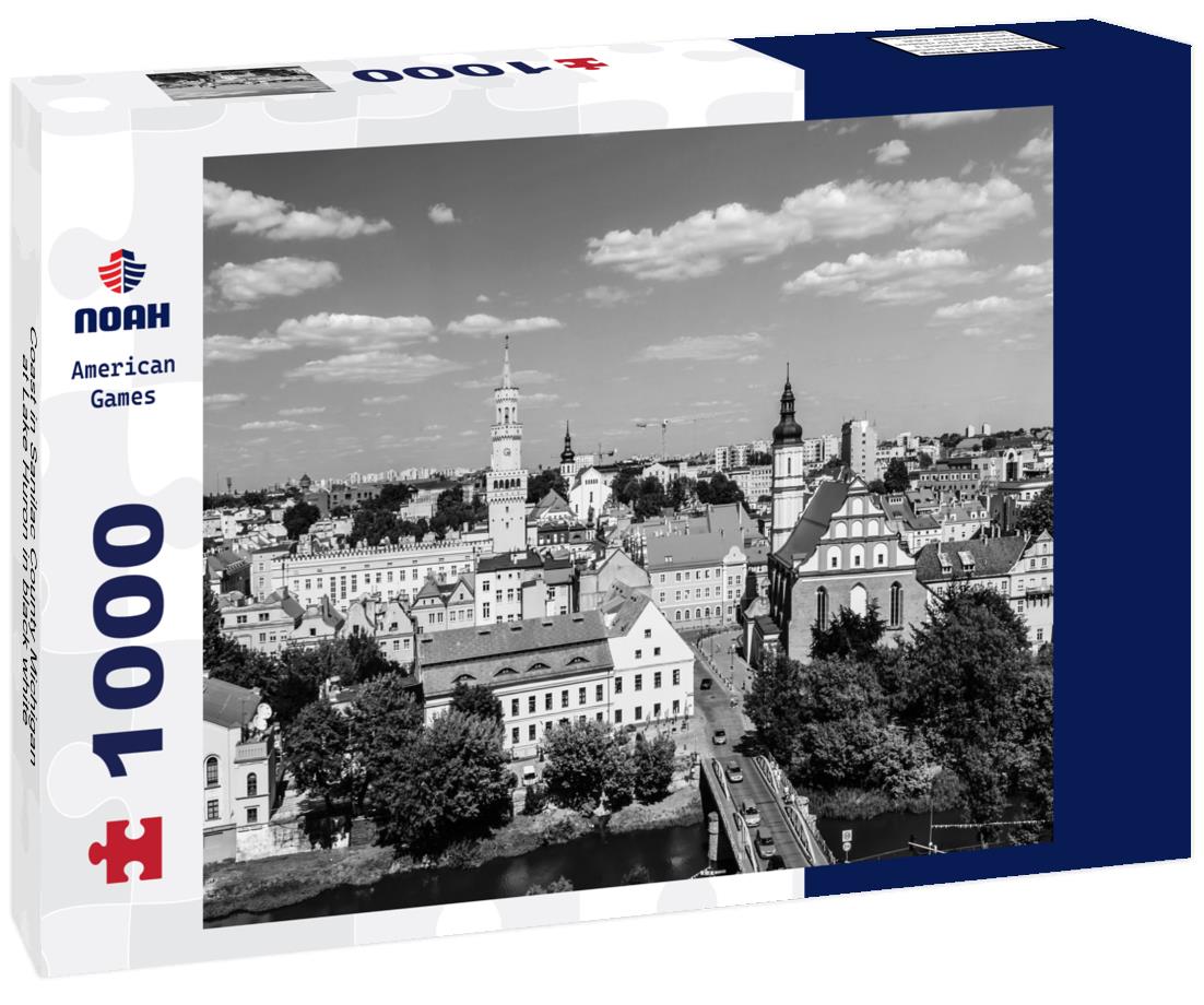 Noah Jigsaw Puzzle Coast in Sanilac County Michigan at Lake Huron in black white 1000 pieces