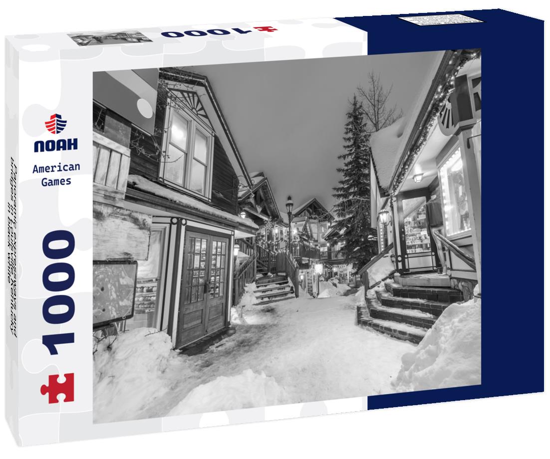 Noah Jigsaw Puzzle Panoramic expressways and bridges in Louisville Kentucky in black white 1000 pieces