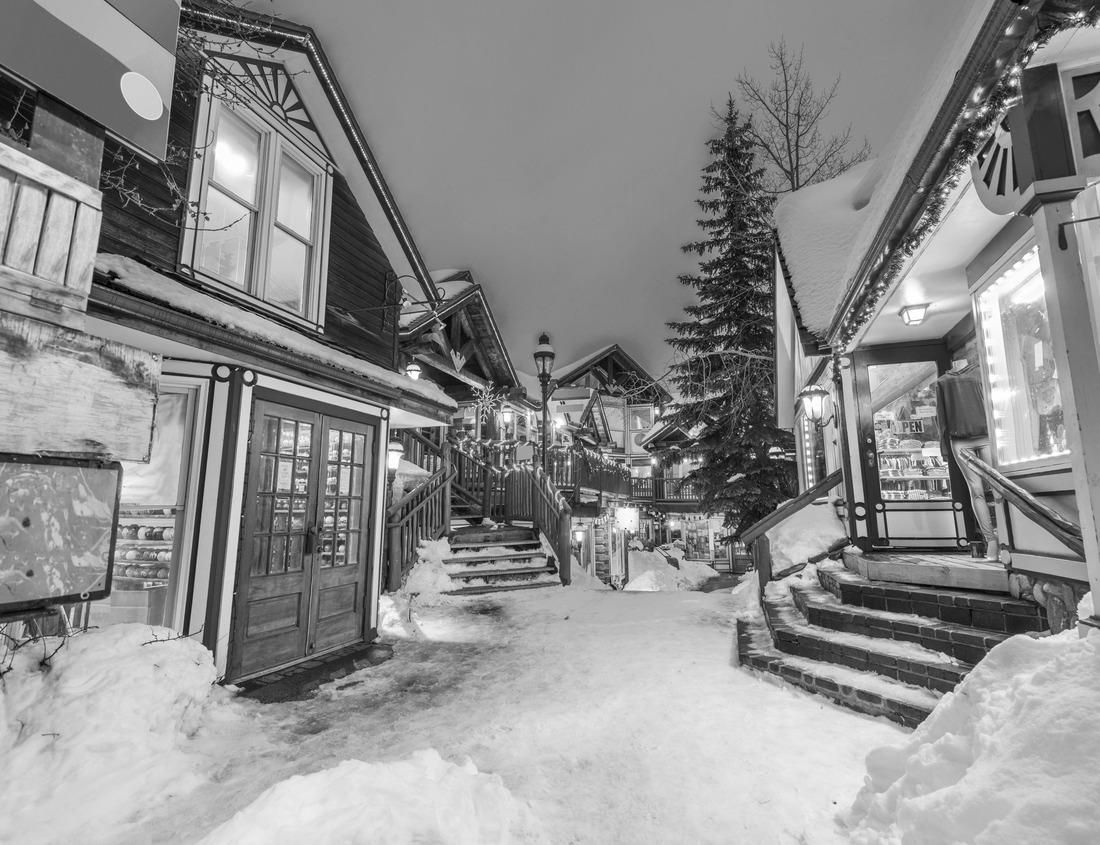 Noah Jigsaw Puzzle Panoramic expressways and bridges in Louisville Kentucky in black white 1000 pieces