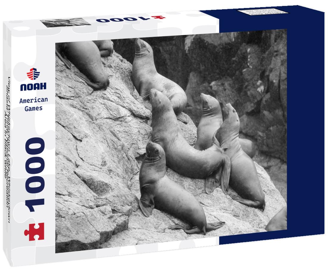 Noah Jigsaw Puzzle View of Whiskeytown Lake, Whiskeytown Shasta-Trinity National Recreation Area in black white 1000 pieces