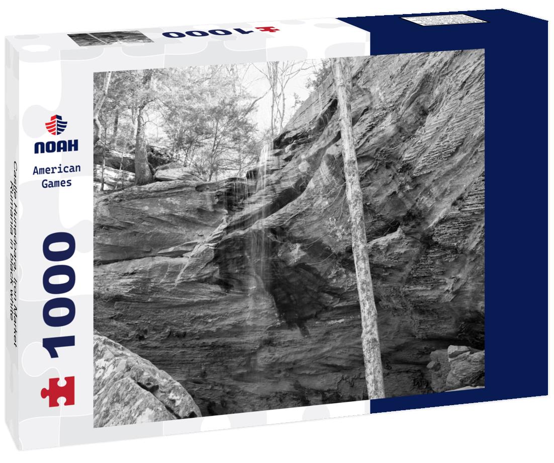 Noah Jigsaw Puzzle Castle Hunedoara, Iron Market, Rumania in black white 1000 pieces