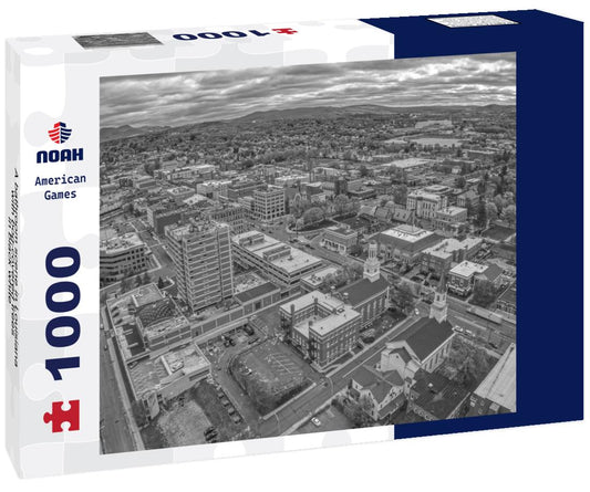 Noah Jigsaw Puzzle A bathroom scene in Louisiana with bog-covered trees in black white 1000 pieces