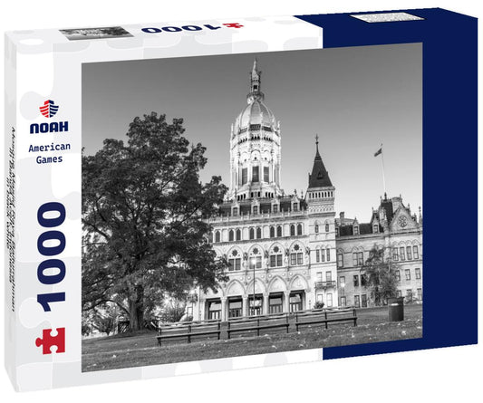 Noah Jigsaw Puzzle Mosque Masjid Raya Baiturrahman in Banda Aceh, Indonesia in black white 1000 pieces