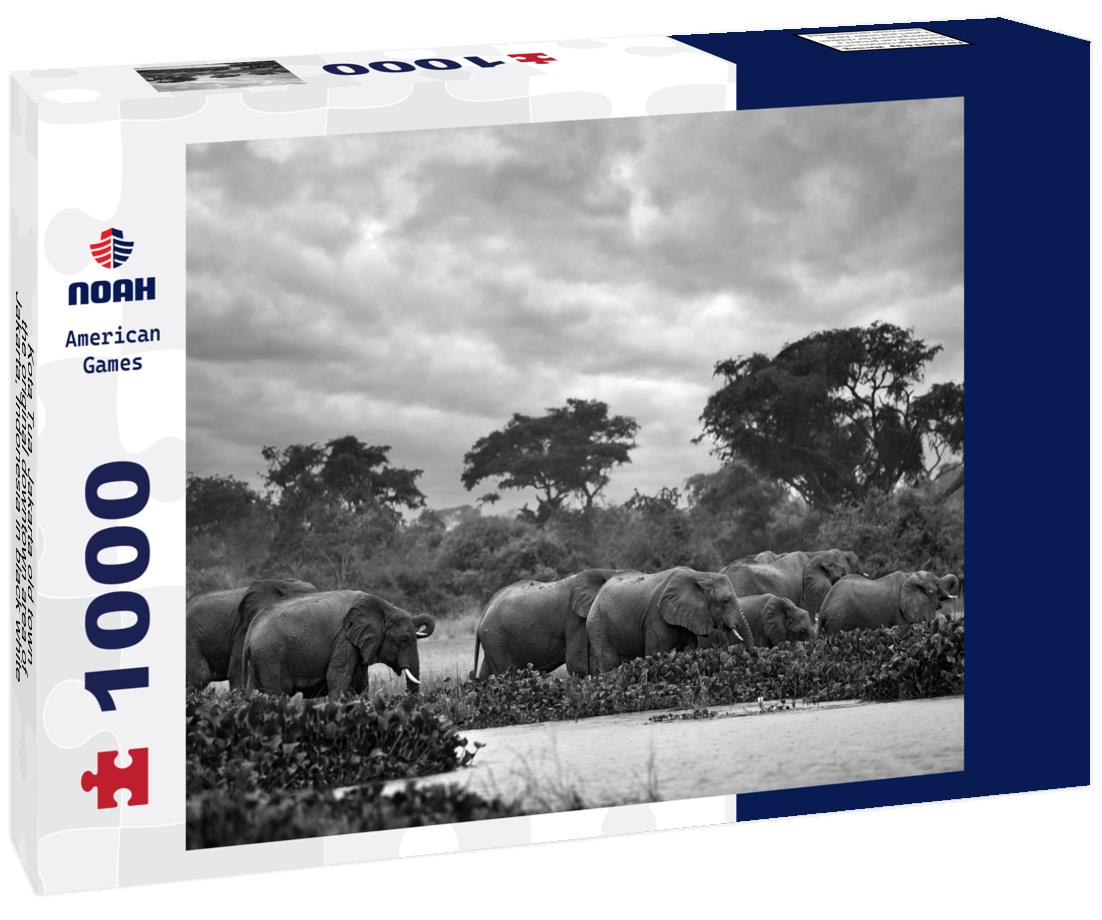 Noah Jigsaw Puzzle Kota Tua, Jakarta old town, the original downtown area of Jakarta, Indonesia in black white 1000 pieces