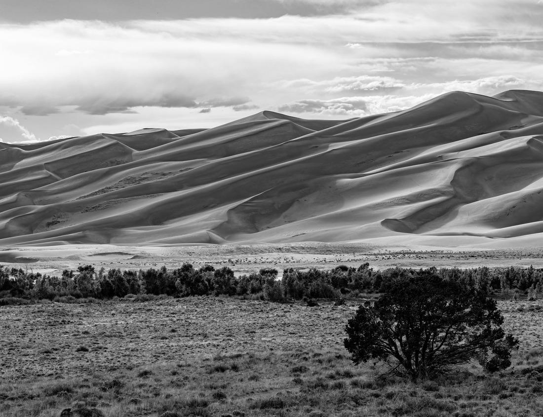 Noah Jigsaw Puzzle Moncton City and Petitcodiac River Skyline at Hawthorne Park in Riverview, New Brunswick, Canada in black white 1000 pieces