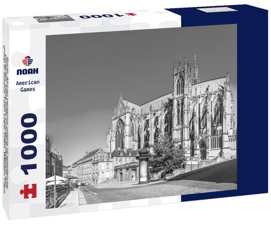 Noah Jigsaw Puzzle South African penguins colony of spectacular penguins water birds individual penguins and group in Simons Town Cape Town, Western Cape, South Africa  in black white 1000 pieces