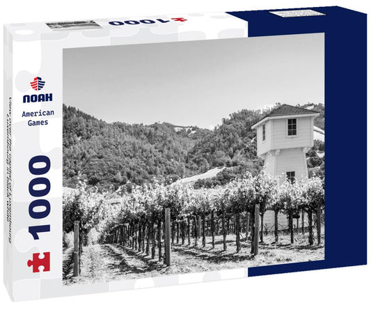 Noah Jigsaw Puzzle View over the capital of Luxembourg, Luxembourg in black white 1000 pieces