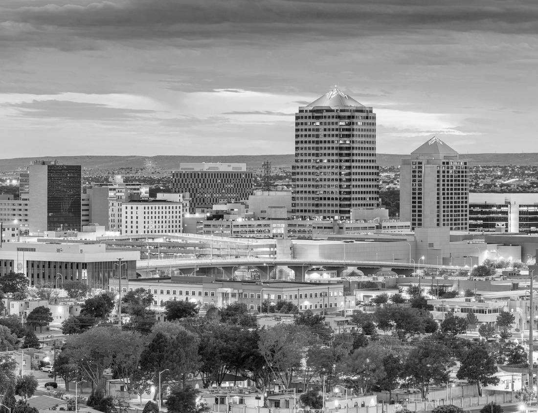 Noah Jigsaw Puzzle Historical building, palace in Luxembourg, Luxembourg in black white 1000 pieces