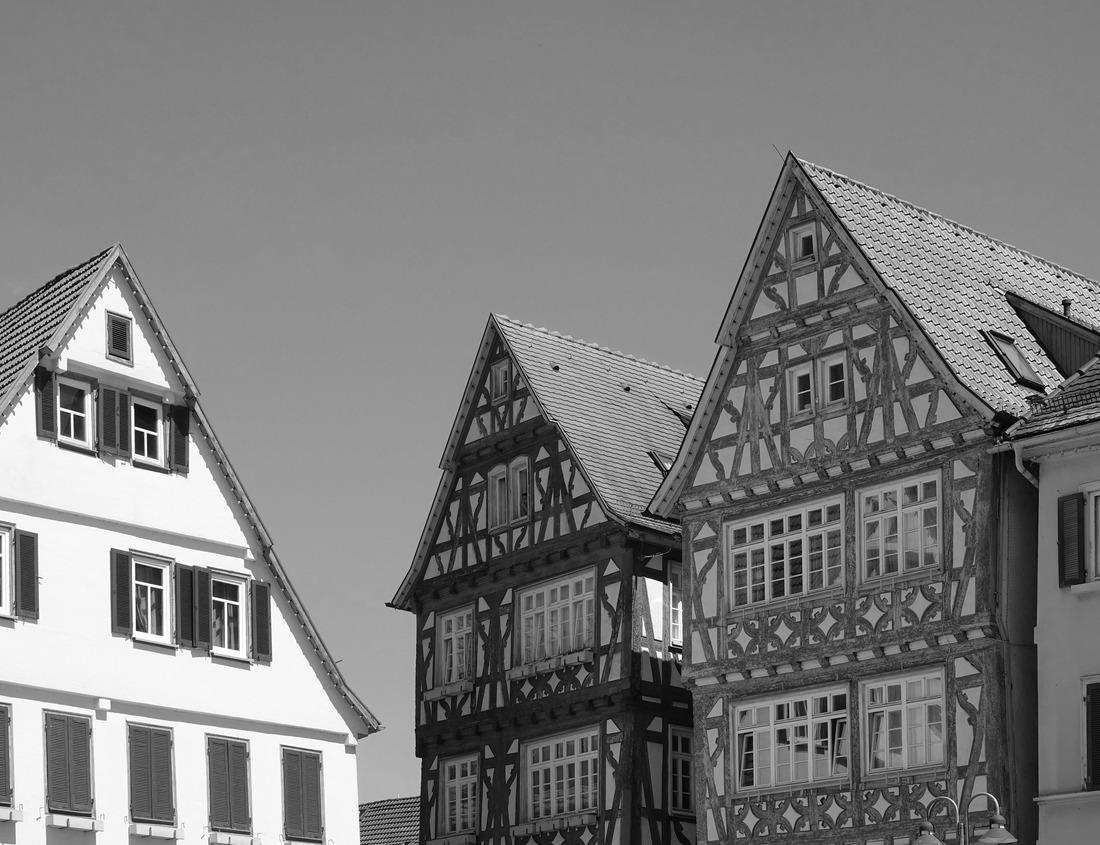 Noah Jigsaw Puzzle Afternoon view of Lake Manzanita in Lassen Volcanic National Park in black white 1000 pieces