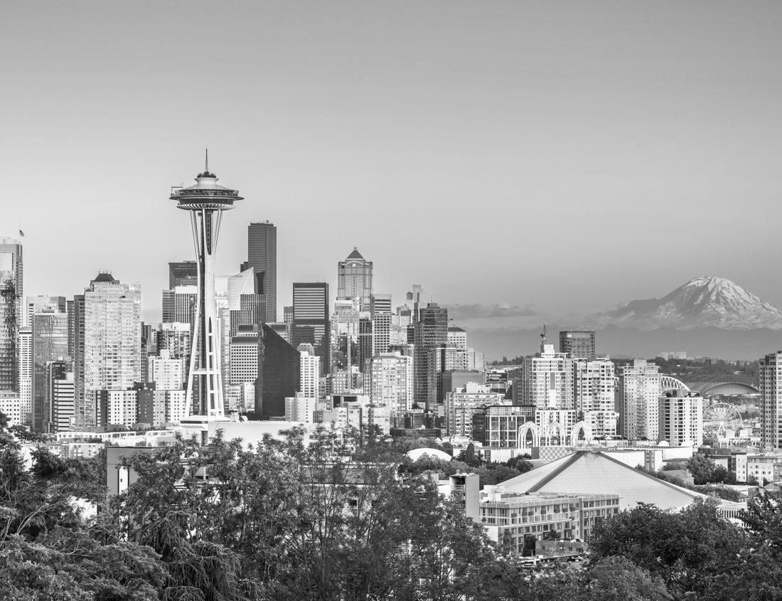 Noah Jigsaw Puzzle Panoramic view of Rotterdam city with the old harbor in black white 1000 pieces