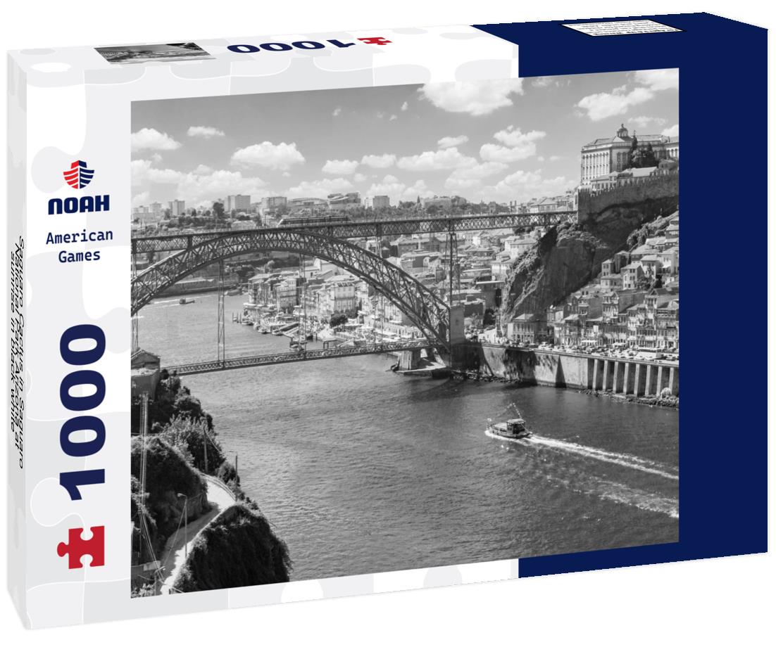 Noah Jigsaw Puzzle Saguaro Cactus in Saguaro National Park Arizona at sunrise in black white 1000 pieces