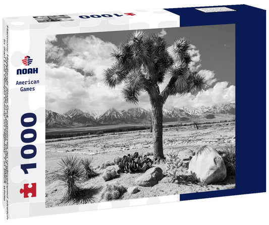 Noah Jigsaw Puzzle Harmony Headlands State Park preserves an undeveloped stretch of Pacific Coast in California, United States. In San Luis Obispo County on Highway 1 in black white 1000 pieces