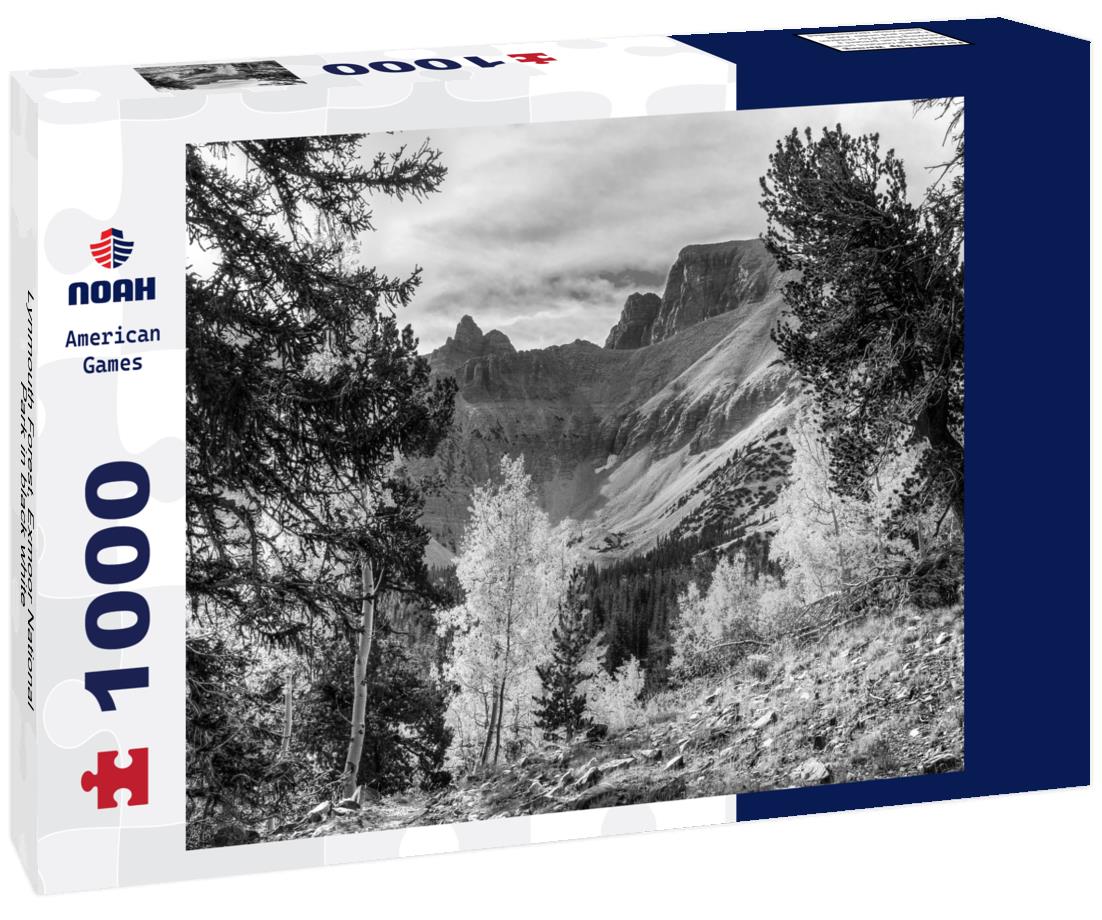 Noah Jigsaw Puzzle Lynmouth Forest, Exmoor National Park in black white 1000 pieces