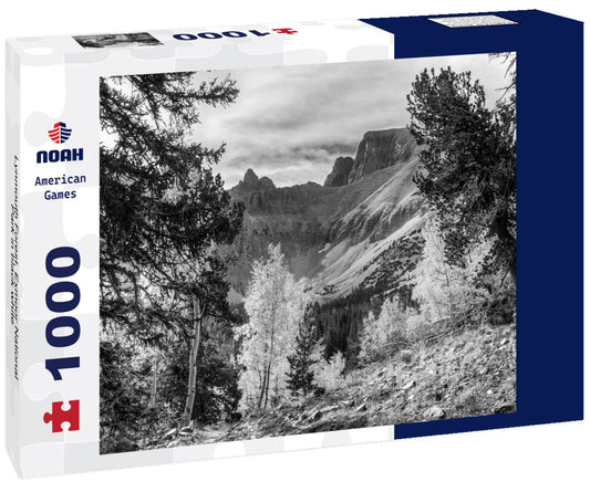 Noah Jigsaw Puzzle Lynmouth Forest, Exmoor National Park in black white 1000 pieces