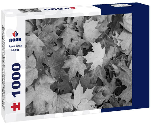 Noah Jigsaw Puzzle Trunk of Sequoia Tree Surrounded by Green Ferns. Sequoia national Park with old huge Sequoia trees like redwoods in beautiful landscape. Old redwood in Sequoia National Park in black white 1000 pieces