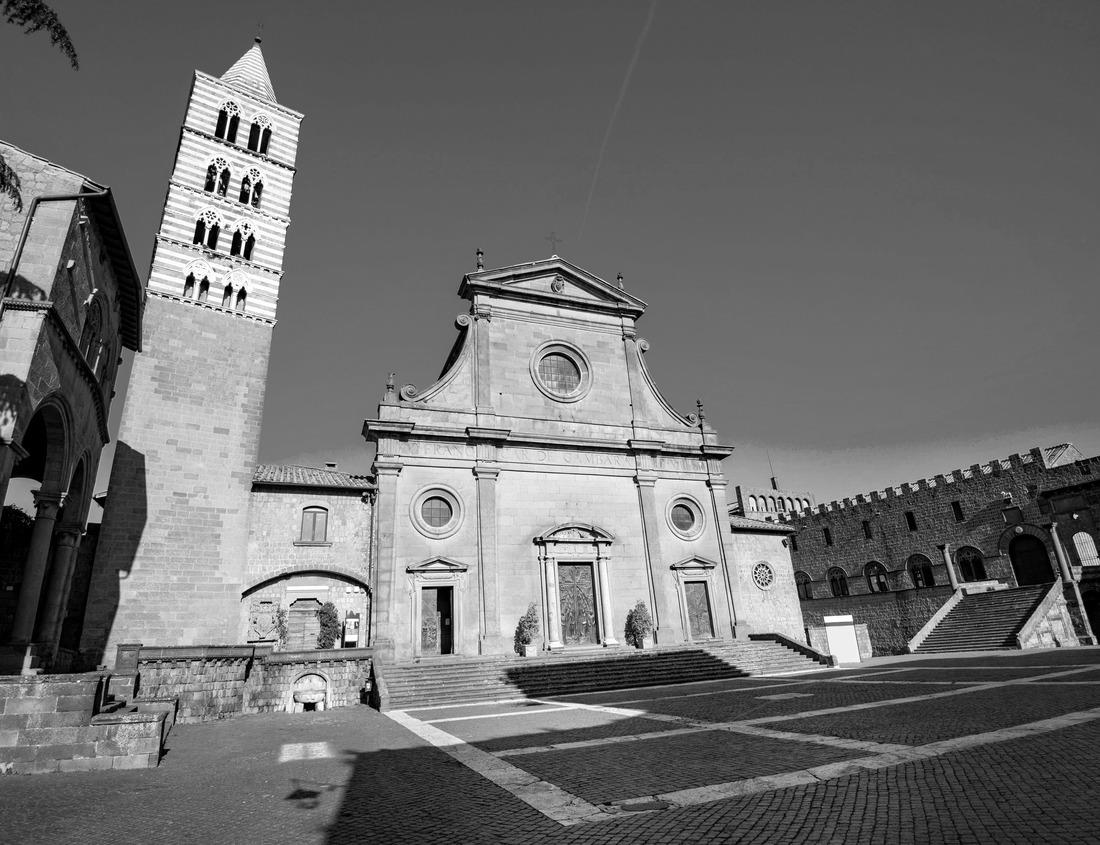 Noah Jigsaw Puzzle Glacial lake with trees and Canadian mountains. Garibaldi Lake, Whistler, British Columbia, Canada in black white 1000 pieces