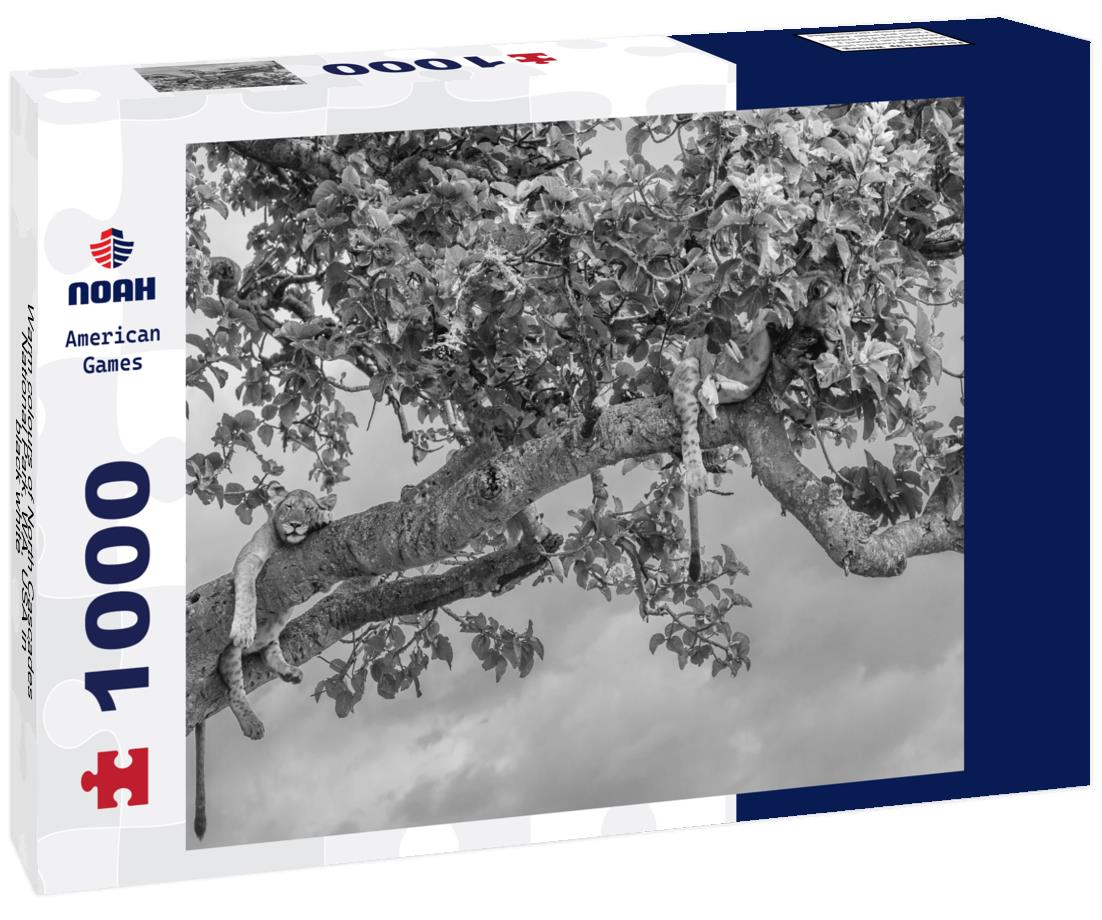 Noah Jigsaw Puzzle Warm colours of North Cascades National Park, WA, USA in black white 1000 pieces