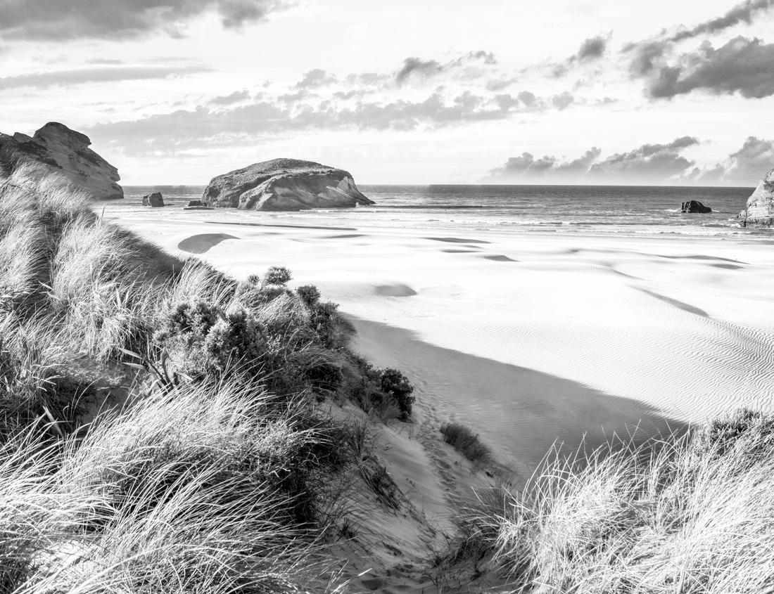 Noah Jigsaw Puzzle Burchell's Zebras in Ikoma, near Serengeti National Park, Tanzania, East Africa in black white 1000 pieces